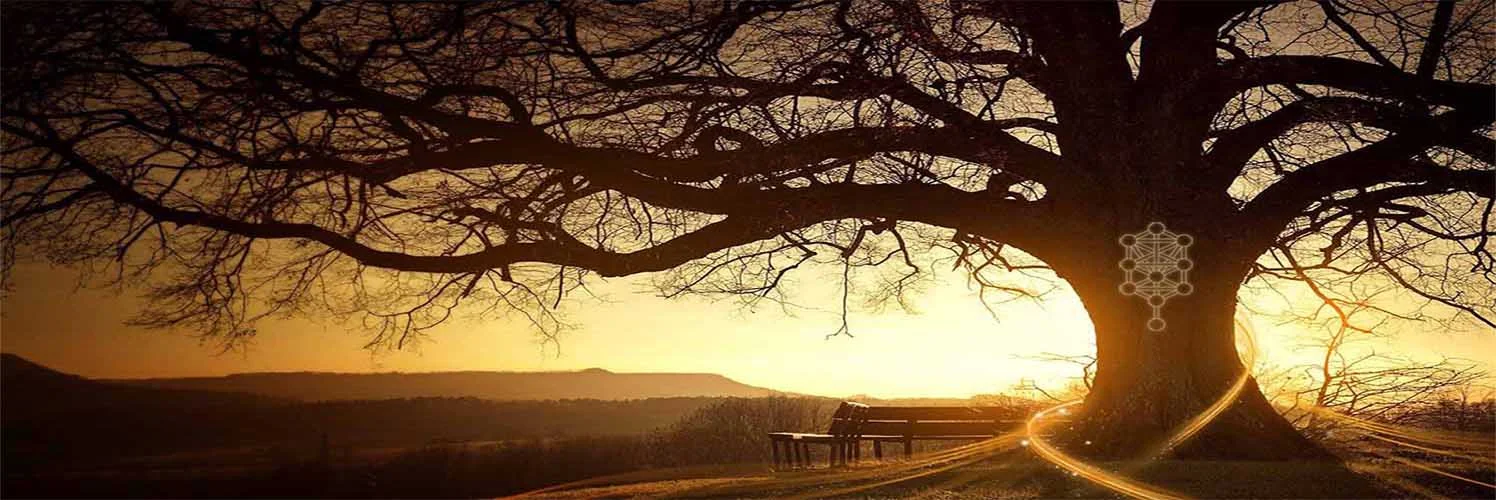 Albero della vita al tramonto
